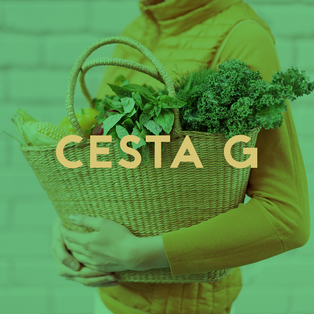CESTA G