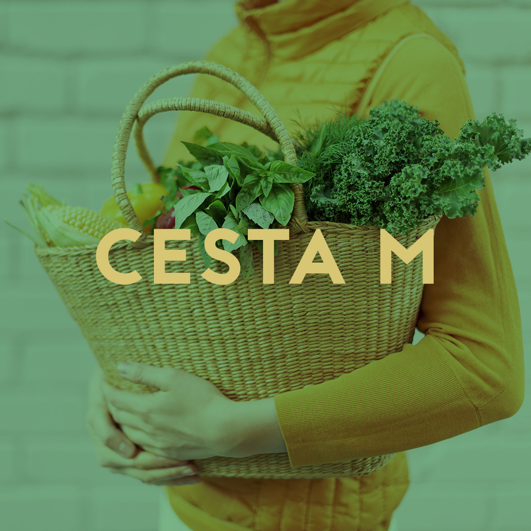 CESTA M