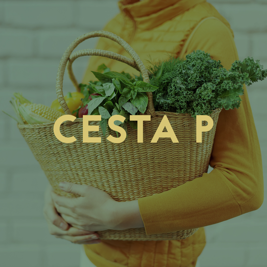 CESTA P