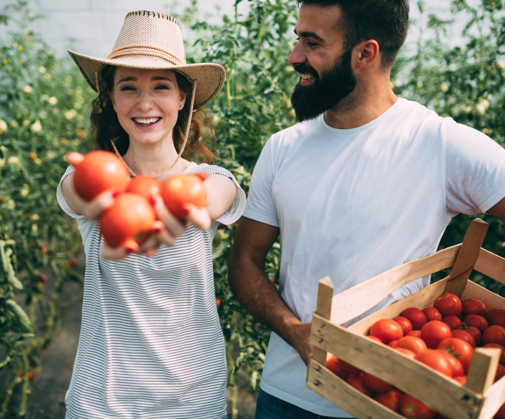 CREATOR: gd-jpeg v1.0 (using IJG JPEG v80), quality = 82